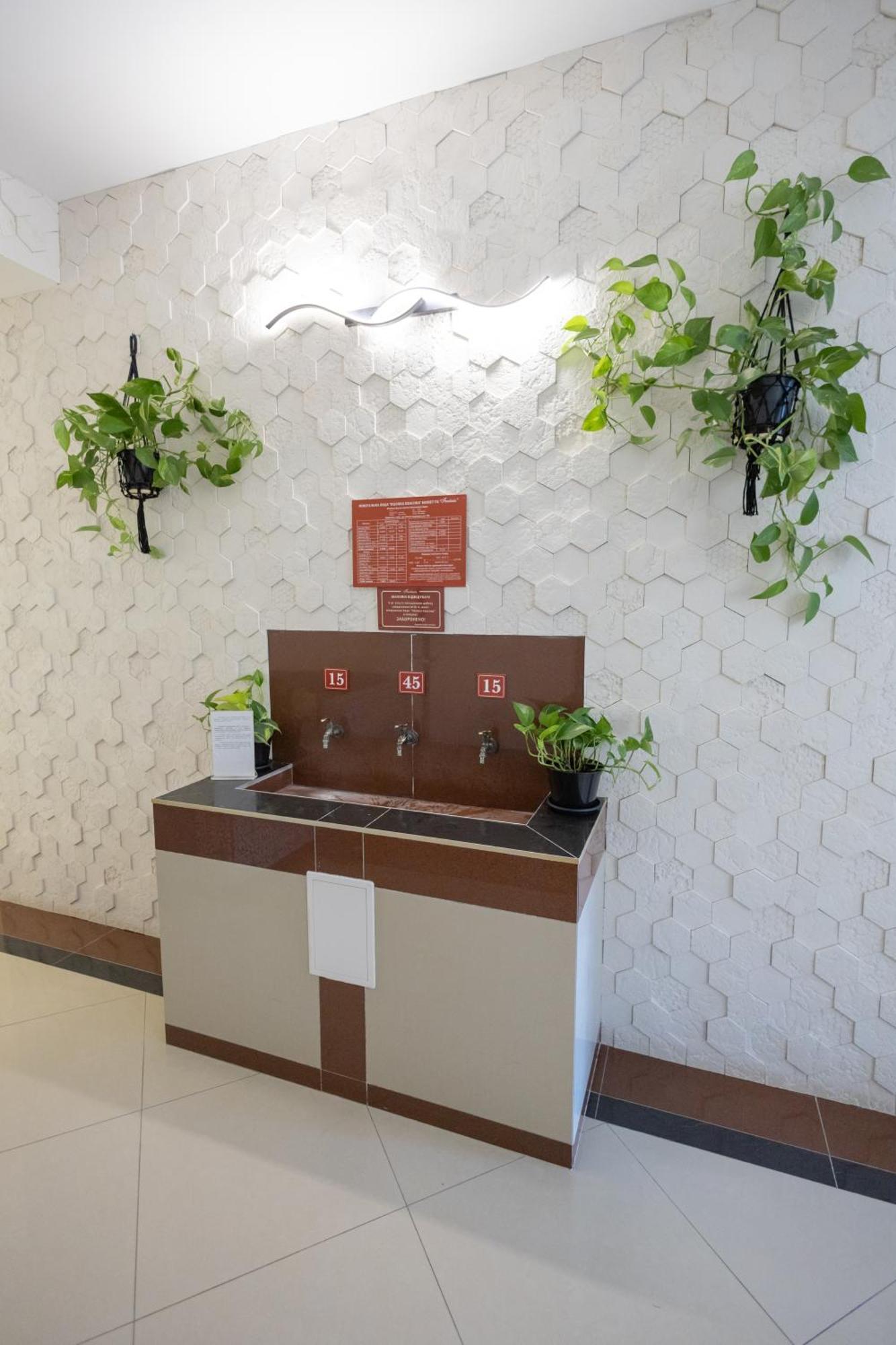 Fantasia 酒店 Polyana (Transcarpathia)